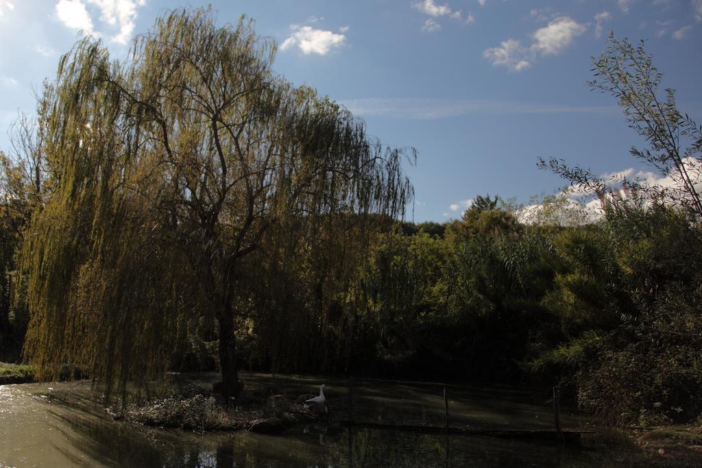 Il Vecchio Mulino Vila Massa Martana Exterior foto