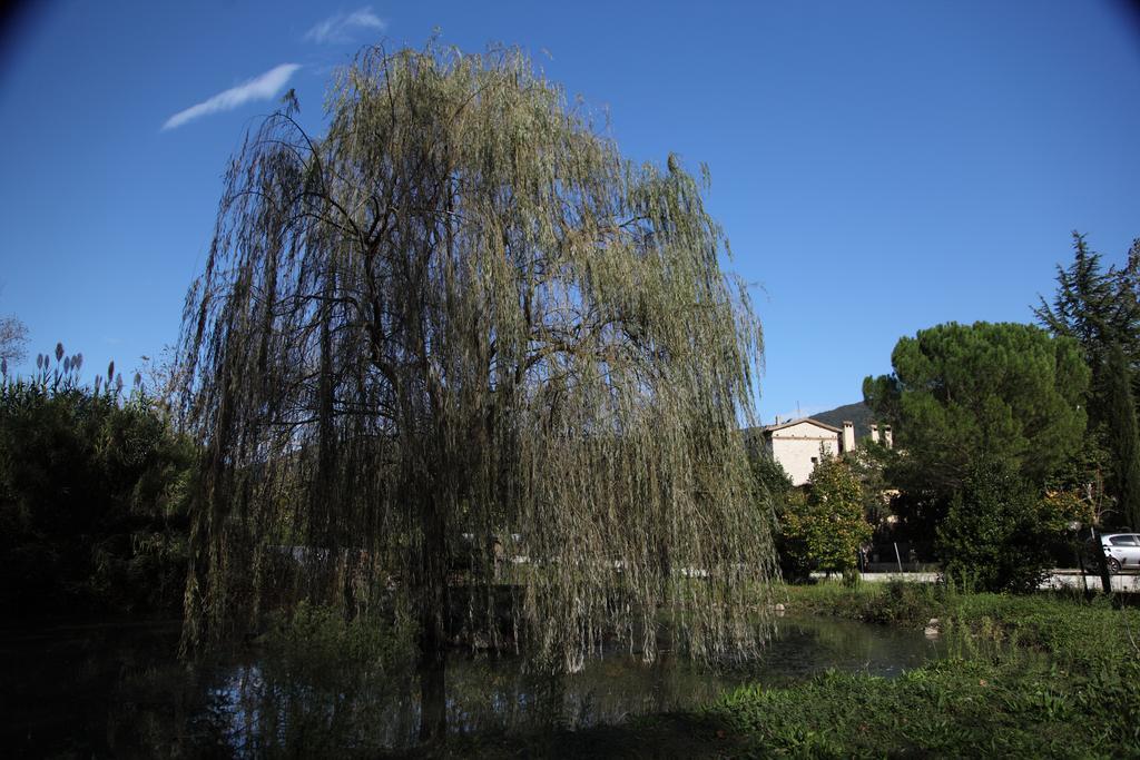 Il Vecchio Mulino Vila Massa Martana Exterior foto