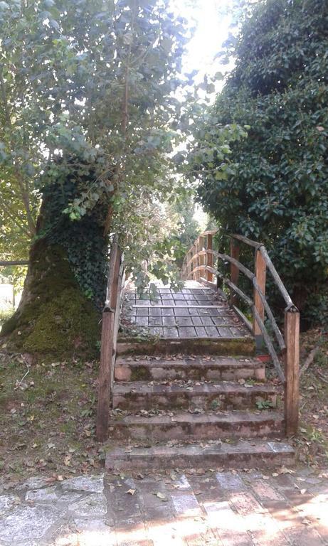 Il Vecchio Mulino Vila Massa Martana Exterior foto