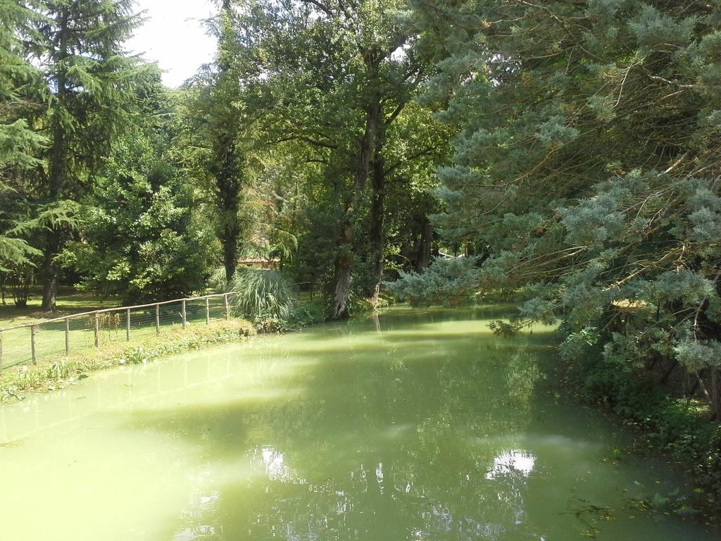 Il Vecchio Mulino Vila Massa Martana Exterior foto